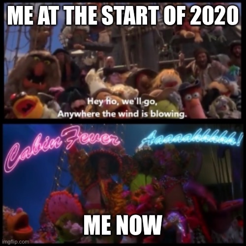 Covid Cabin Fever | ME AT THE START OF 2020; ME NOW | image tagged in covid-19,quarantine,crazy | made w/ Imgflip meme maker