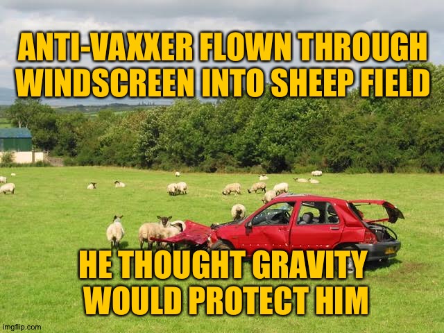 Oh The Irony | ANTI-VAXXER FLOWN THROUGH WINDSCREEN INTO SHEEP FIELD; HE THOUGHT GRAVITY
 WOULD PROTECT HIM | image tagged in anti-vaxx,funny memes,irony meter,ironic,vaccinations,medicine | made w/ Imgflip meme maker