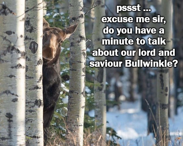 pssst ... excuse me sir, do you have a minute to talk about our lord and saviour Bullwinkle? | image tagged in bullwinkle | made w/ Imgflip meme maker