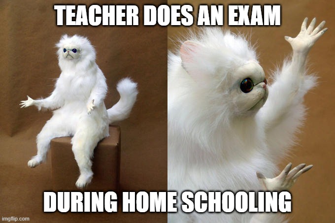 Persian Cat Room Guardian | TEACHER DOES AN EXAM; DURING HOME SCHOOLING | image tagged in memes,persian cat room guardian | made w/ Imgflip meme maker