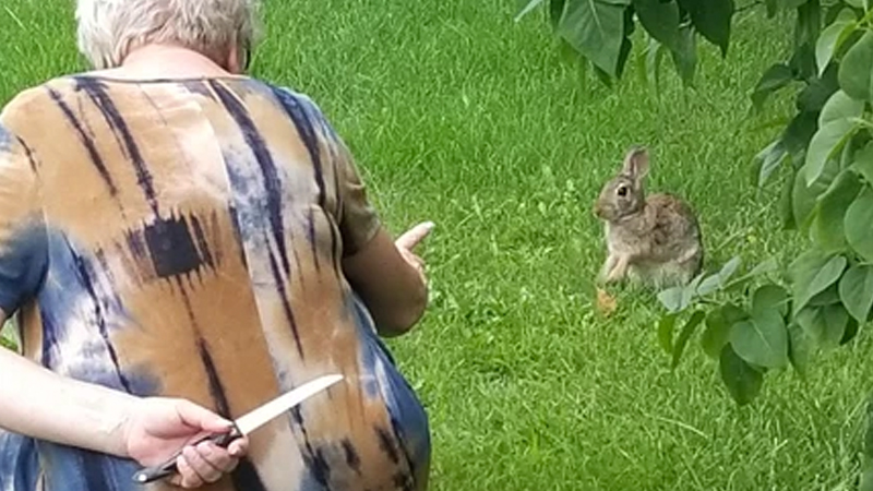 Old lady hiding knife to bunny Blank Meme Template