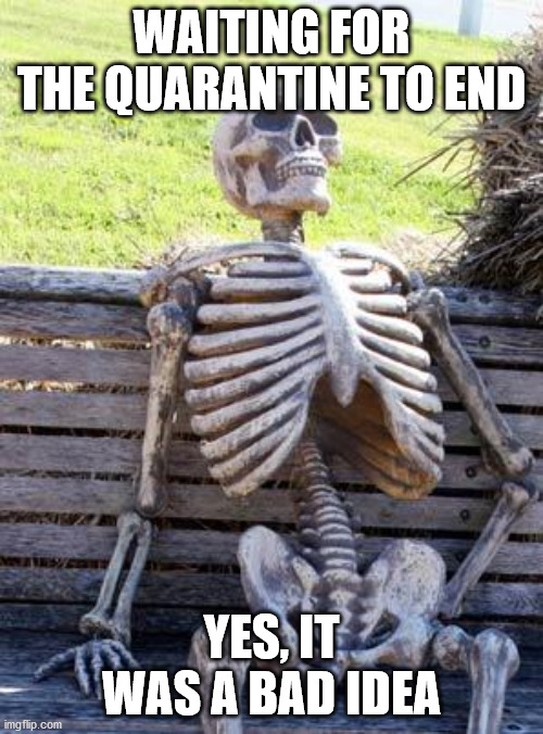 Waiting Skeleton Meme | WAITING FOR THE QUARANTINE TO END; YES, IT WAS A BAD IDEA | image tagged in memes,waiting skeleton | made w/ Imgflip meme maker