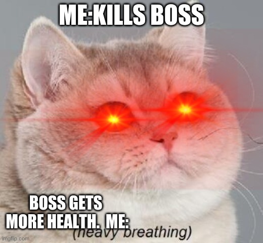 ME:KILLS BOSS; BOSS GETS  MORE HEALTH.  ME: | image tagged in gaming,why do i hear boss music | made w/ Imgflip meme maker