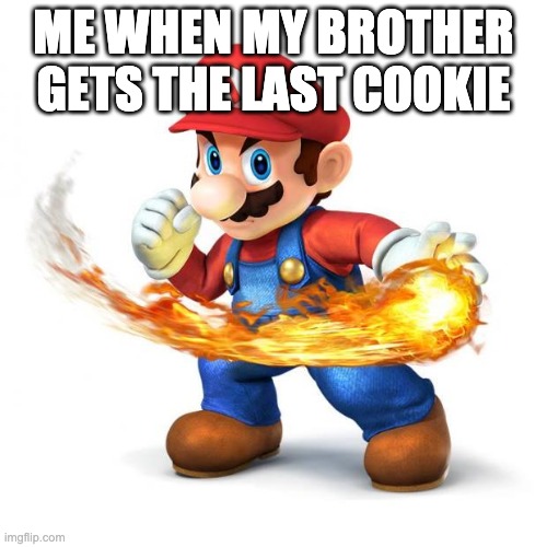 Super Mario with a Fireball | ME WHEN MY BROTHER GETS THE LAST COOKIE | image tagged in super mario with a fireball | made w/ Imgflip meme maker