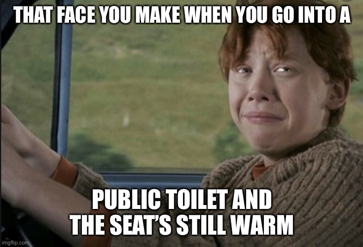 That Face You Make | THAT FACE YOU MAKE WHEN YOU GO INTO A; PUBLIC TOILET AND THE SEAT’S STILL WARM | image tagged in that face you make,ron weasley | made w/ Imgflip meme maker