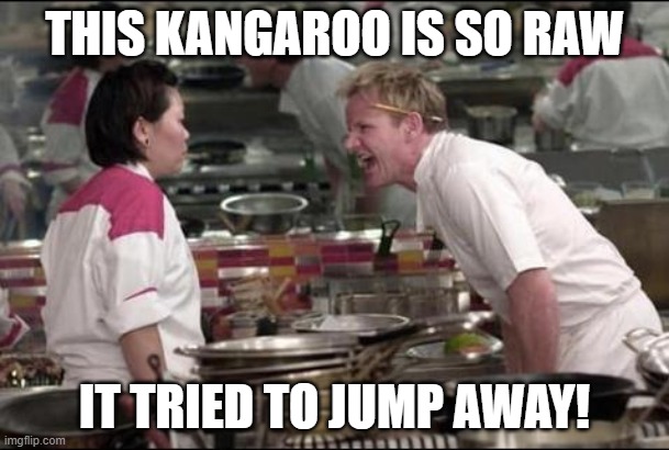 Angry Chef Gordon Ramsay Meme | THIS KANGAROO IS SO RAW; IT TRIED TO JUMP AWAY! | image tagged in memes,angry chef gordon ramsay | made w/ Imgflip meme maker