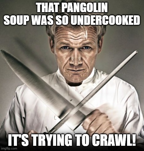 Chef Ramsay | THAT PANGOLIN SOUP WAS SO UNDERCOOKED IT'S TRYING TO CRAWL! | image tagged in chef ramsay | made w/ Imgflip meme maker