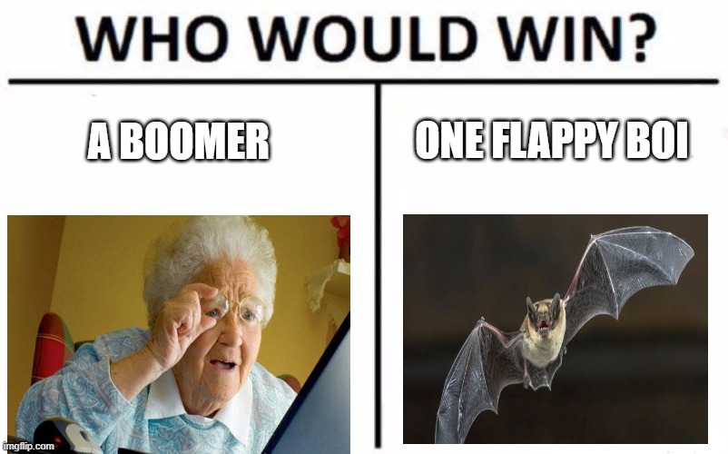 Who Would Win? | ONE FLAPPY BOI; A BOOMER | image tagged in memes,who would win | made w/ Imgflip meme maker