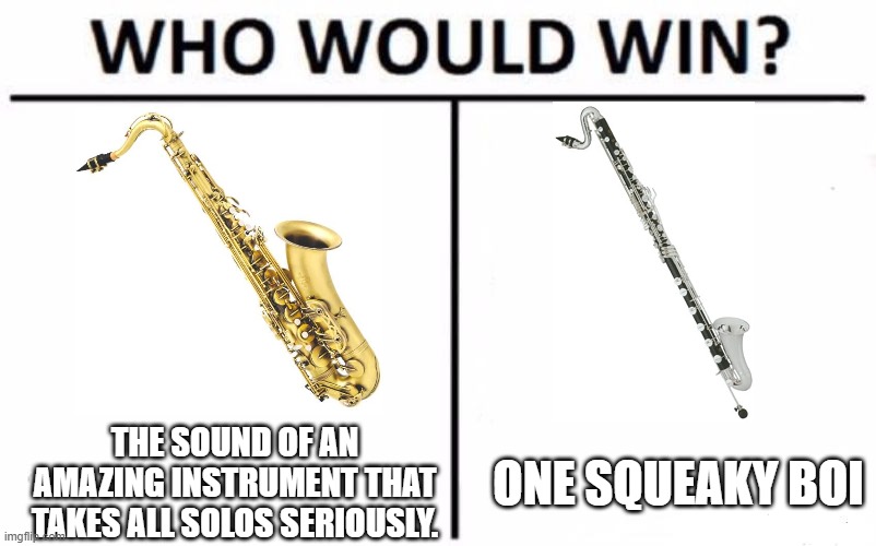 Band memes | THE SOUND OF AN AMAZING INSTRUMENT THAT TAKES ALL SOLOS SERIOUSLY. ONE SQUEAKY BOI | image tagged in memes,who would win | made w/ Imgflip meme maker