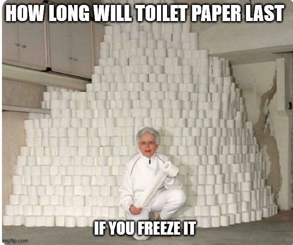 HOW LONG WILL TOILET PAPER LAST; IF YOU FREEZE IT | image tagged in toilet paper | made w/ Imgflip meme maker