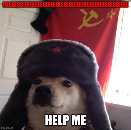 Russian Doge | REEEEEEEEEEEEEEEEEEEEEEEEEEEEEEEEEEEEEEEEEEEEEEE; HELP ME | image tagged in russian doge | made w/ Imgflip meme maker