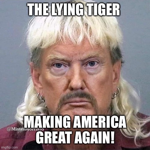 The Lying Tiger | THE LYING TIGER; MAKING AMERICA GREAT AGAIN! | image tagged in donald trump,tiger king,liar in chief,sarcasm,lol,morons for trump | made w/ Imgflip meme maker