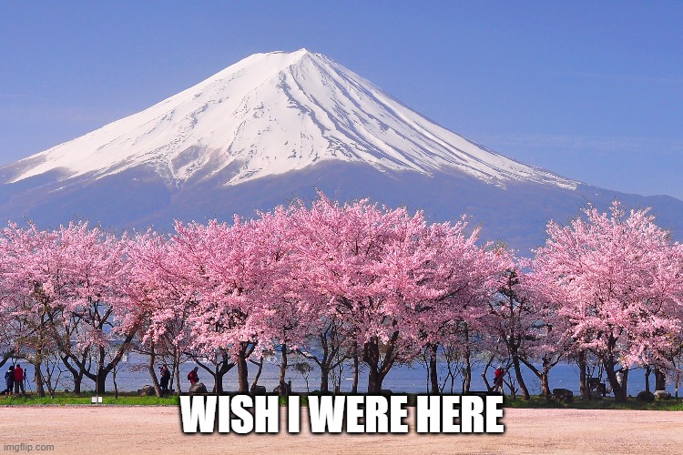WISH I WERE HERE | image tagged in i wish,japan,peaceful | made w/ Imgflip meme maker