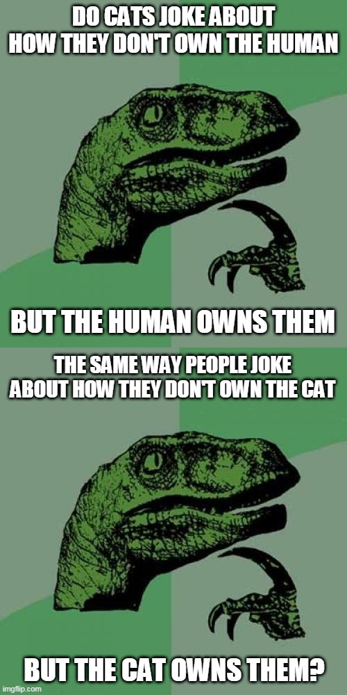 DO CATS JOKE ABOUT HOW THEY DON'T OWN THE HUMAN; BUT THE HUMAN OWNS THEM; THE SAME WAY PEOPLE JOKE ABOUT HOW THEY DON'T OWN THE CAT; BUT THE CAT OWNS THEM? | image tagged in memes,philosoraptor,cats,hmmm,funny,cat | made w/ Imgflip meme maker