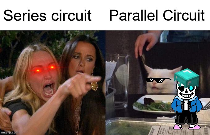 Woman Yelling At Cat Meme | Series circuit; Parallel Circuit | image tagged in memes,woman yelling at cat | made w/ Imgflip meme maker