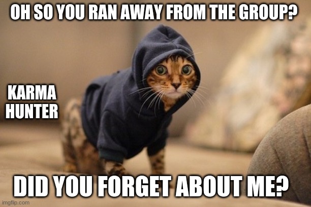 Hoody Cat | OH SO YOU RAN AWAY FROM THE GROUP? KARMA HUNTER; DID YOU FORGET ABOUT ME? | image tagged in memes,hoody cat | made w/ Imgflip meme maker