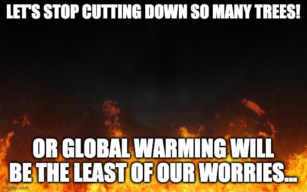 fire | LET'S STOP CUTTING DOWN SO MANY TREES! OR GLOBAL WARMING WILL BE THE LEAST OF OUR WORRIES... | image tagged in fire | made w/ Imgflip meme maker