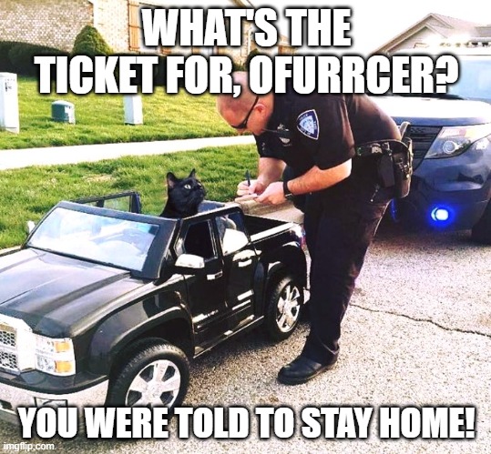 WHAT'S THE TICKET FOR, OFURRCER? YOU WERE TOLD TO STAY HOME! | image tagged in quarantine | made w/ Imgflip meme maker