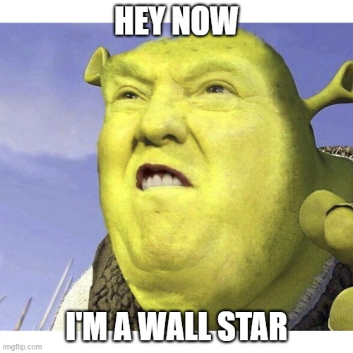 HEY NOW; I'M A WALL STAR | image tagged in donald trump,shrek,funny memes | made w/ Imgflip meme maker