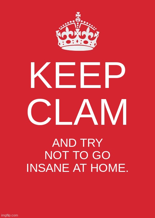 Keep Calm And Carry On Red Meme | KEEP CLAM; AND TRY
NOT TO GO
INSANE AT HOME. | image tagged in memes,keep calm and carry on red | made w/ Imgflip meme maker