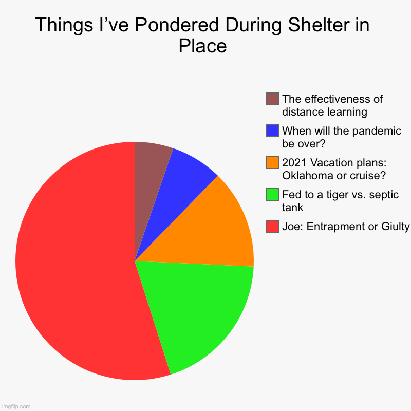 Things I’ve Pondered During Shelter in Place | Joe: Entrapment or Giulty, Fed to a tiger vs. septic tank, 2021 Vacation plans: Oklahoma or c | image tagged in charts,pie charts | made w/ Imgflip chart maker