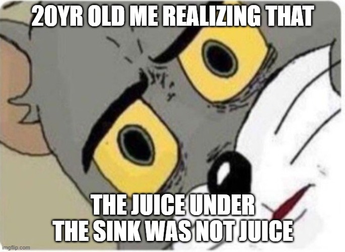 Tom and Jerry meme | 20YR OLD ME REALIZING THAT; THE JUICE UNDER THE SINK WAS NOT JUICE | image tagged in tom and jerry meme | made w/ Imgflip meme maker