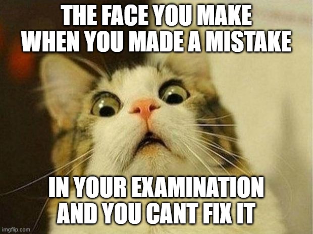 Scared Cat Meme | THE FACE YOU MAKE WHEN YOU MADE A MISTAKE; IN YOUR EXAMINATION AND YOU CANT FIX IT | image tagged in memes,scared cat | made w/ Imgflip meme maker