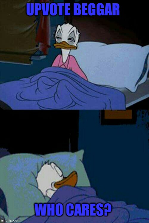 sleepy donald duck in bed | UPVOTE BEGGAR WHO CARES? | image tagged in sleepy donald duck in bed | made w/ Imgflip meme maker
