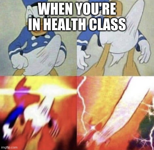 Donald Duck erection | WHEN YOU'RE IN HEALTH CLASS | image tagged in donald duck erection | made w/ Imgflip meme maker