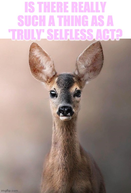 True kindness seeks no reward... | IS THERE REALLY SUCH A THING AS A 'TRULY' SELFLESS ACT? | image tagged in selflessness or selfishness,debate topic | made w/ Imgflip meme maker