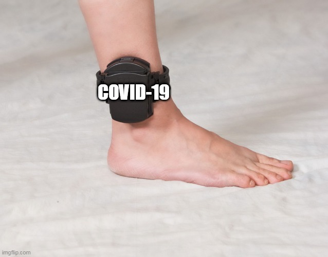 HOW WE ALL FEEL RIGHT NOW | COVID-19 | image tagged in covid-19,quarantine,house arrest,lockdown | made w/ Imgflip meme maker