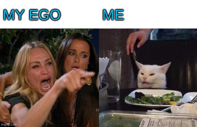 Woman Yelling At Cat | MY EGO; ME | image tagged in memes,woman yelling at cat | made w/ Imgflip meme maker