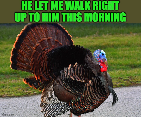 HE LET ME WALK RIGHT UP TO HIM THIS MORNING | made w/ Imgflip meme maker