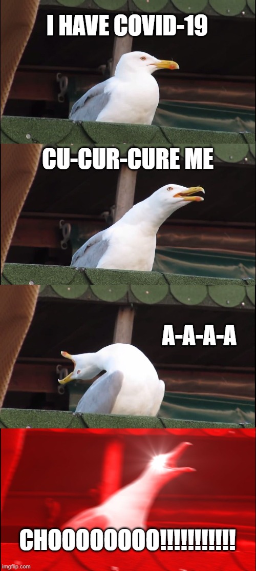 Inhaling Seagull | I HAVE COVID-19; CU-CUR-CURE ME; A-A-A-A; CHOOOOOOOO!!!!!!!!!!! | image tagged in memes,inhaling seagull | made w/ Imgflip meme maker