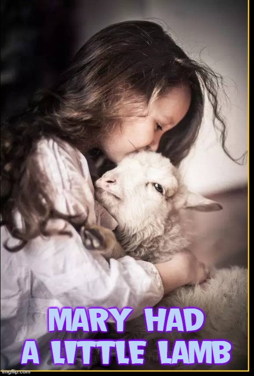 Actual Photo of the Real Mary who inspired the Nursery Rhyme | MARY HAD A LITTLE LAMB | image tagged in vince vance,little girl,lamb,mary,nursery rhymes,new memes | made w/ Imgflip meme maker