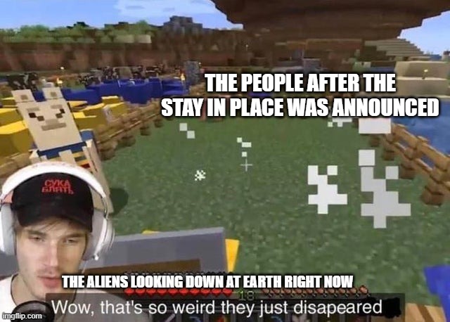 They just disappeared | THE PEOPLE AFTER THE STAY IN PLACE WAS ANNOUNCED; THE ALIENS LOOKING DOWN AT EARTH RIGHT NOW | image tagged in they just disappeared | made w/ Imgflip meme maker