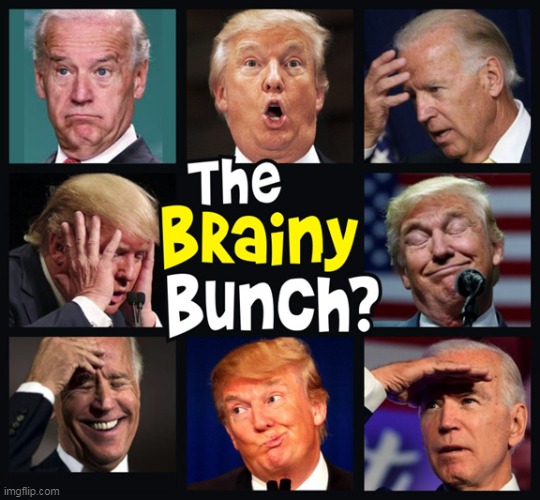 That's the way we became... | image tagged in memes,donald trump,joe biden,democratic party,republican party,the brady bunch | made w/ Imgflip meme maker