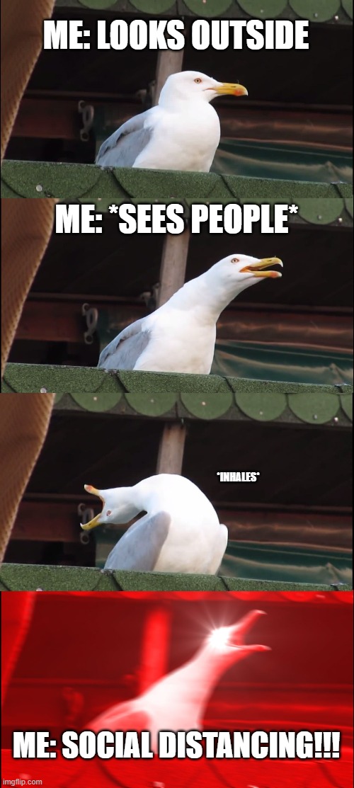 Inhaling Seagull | ME: LOOKS OUTSIDE; ME: *SEES PEOPLE*; *INHALES*; ME: SOCIAL DISTANCING!!! | image tagged in memes,inhaling seagull | made w/ Imgflip meme maker