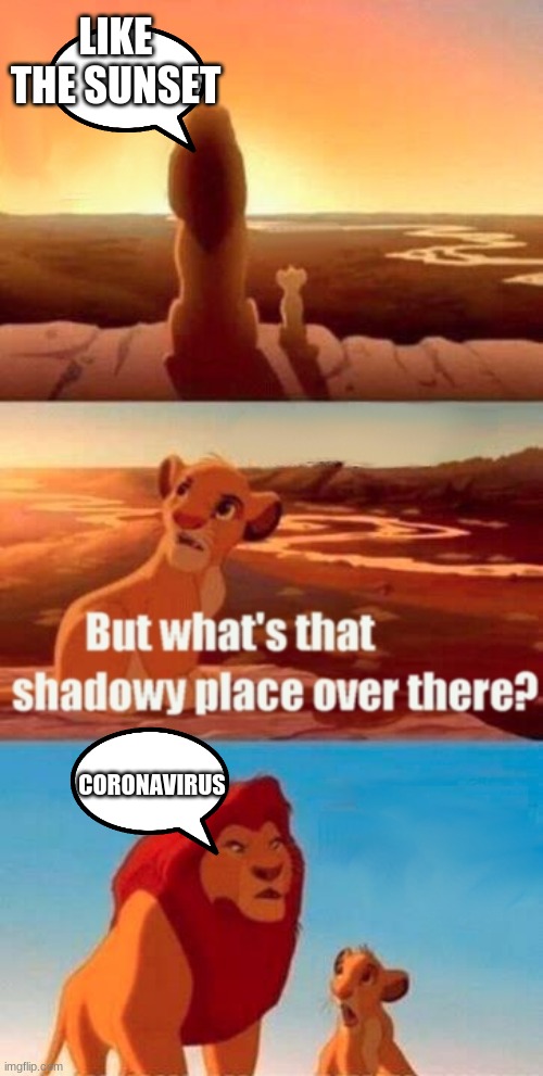 Simba Shadowy Place Meme | LIKE THE SUNSET; CORONAVIRUS | image tagged in memes,simba shadowy place | made w/ Imgflip meme maker