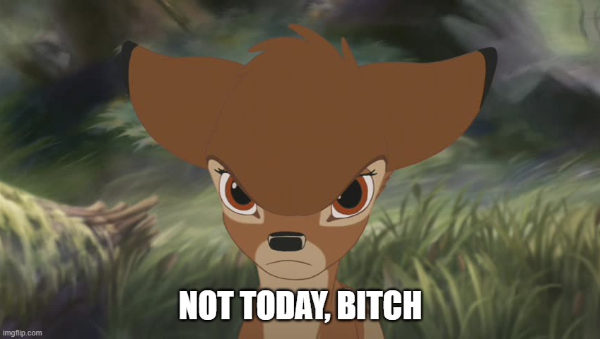 Angry bambi | NOT TODAY, BITCH | image tagged in angry bambi | made w/ Imgflip meme maker