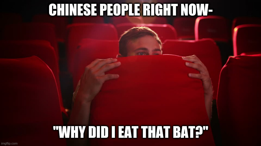  CHINESE PEOPLE RIGHT NOW-; "WHY DID I EAT THAT BAT?" | image tagged in memes | made w/ Imgflip meme maker
