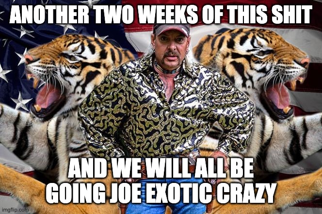 tiger king | ANOTHER TWO WEEKS OF THIS SHIT; AND WE WILL ALL BE GOING JOE EXOTIC CRAZY | image tagged in tiger king | made w/ Imgflip meme maker