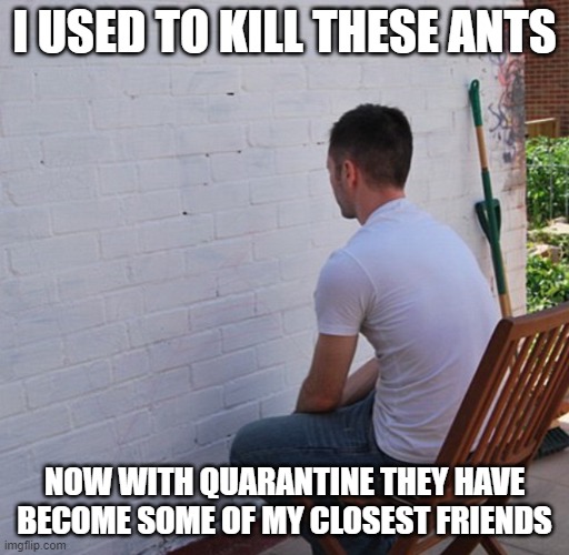A new kind of lonely | I USED TO KILL THESE ANTS; NOW WITH QUARANTINE THEY HAVE BECOME SOME OF MY CLOSEST FRIENDS | image tagged in bored,home alone,coronavirus,memes,fun | made w/ Imgflip meme maker