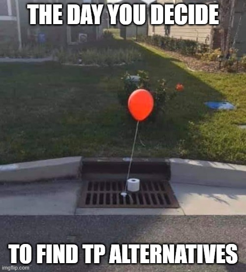 TP dilemma | THE DAY YOU DECIDE; TO FIND TP ALTERNATIVES | image tagged in tp dilemma | made w/ Imgflip meme maker