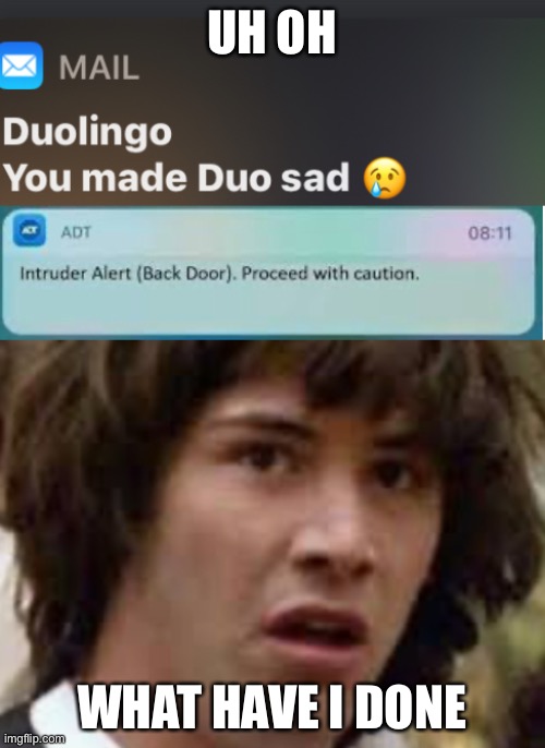 UH OH; WHAT HAVE I DONE | image tagged in duolingo | made w/ Imgflip meme maker
