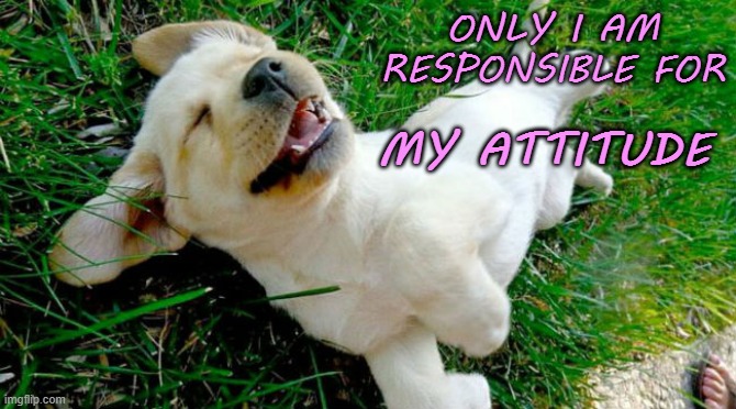 My Attitude | ONLY I AM
RESPONSIBLE FOR; MY ATTITUDE | image tagged in affirmation,puppy | made w/ Imgflip meme maker