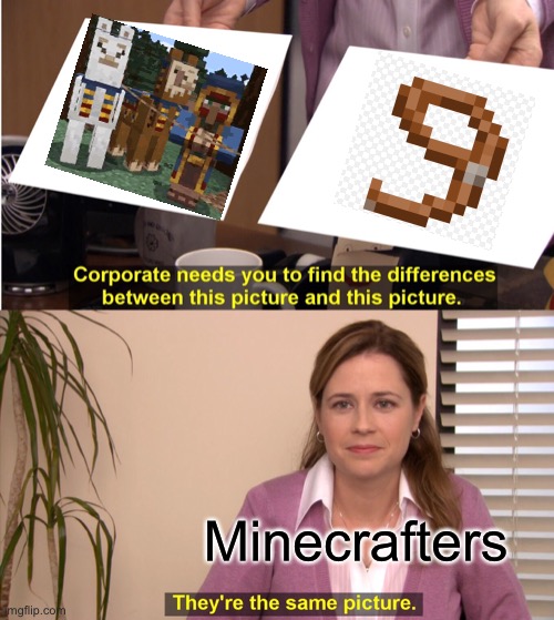 They're The Same Picture | Minecrafters | image tagged in memes,they're the same picture | made w/ Imgflip meme maker