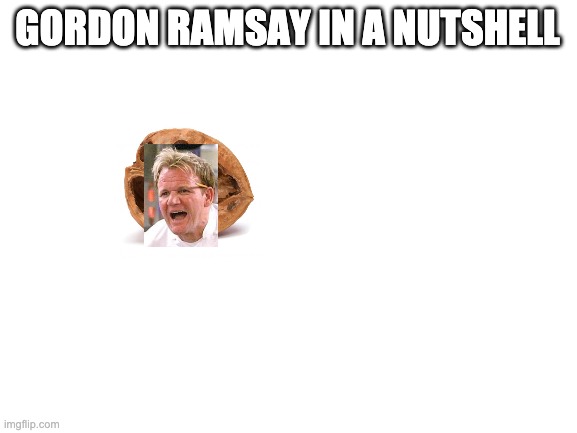 Blank White Template | GORDON RAMSAY IN A NUTSHELL | image tagged in blank white template | made w/ Imgflip meme maker