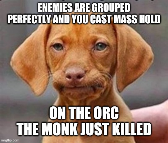 Frustrated dog | ENEMIES ARE GROUPED PERFECTLY AND YOU CAST MASS HOLD; ON THE ORC THE MONK JUST KILLED | image tagged in frustrated dog | made w/ Imgflip meme maker