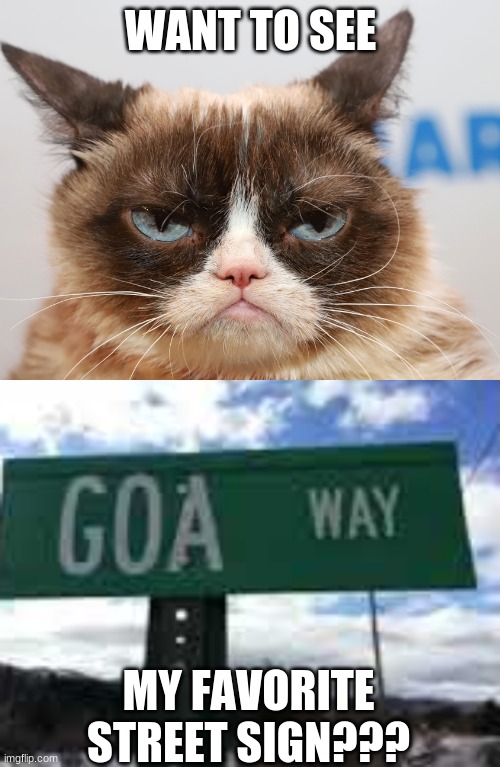 mine as well | WANT TO SEE; MY FAVORITE STREET SIGN??? | image tagged in grumpy cat,go away,xd,funny signs,funny because it's true | made w/ Imgflip meme maker